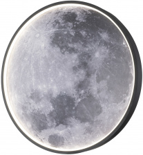 Настенно-потолочный светильник Planet 10226/SG LED Moon