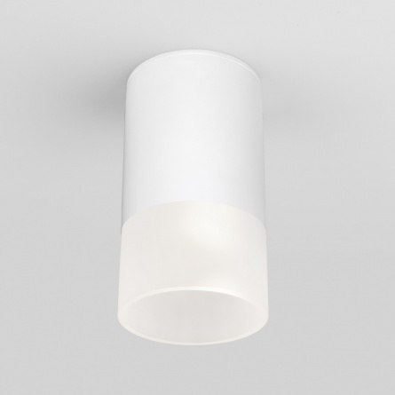 Потолочный светильник уличный Light LED 35139/H белый фото 1