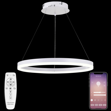 Подвесной светильник LED LIGHT LED LAMPS 81294 фото 1